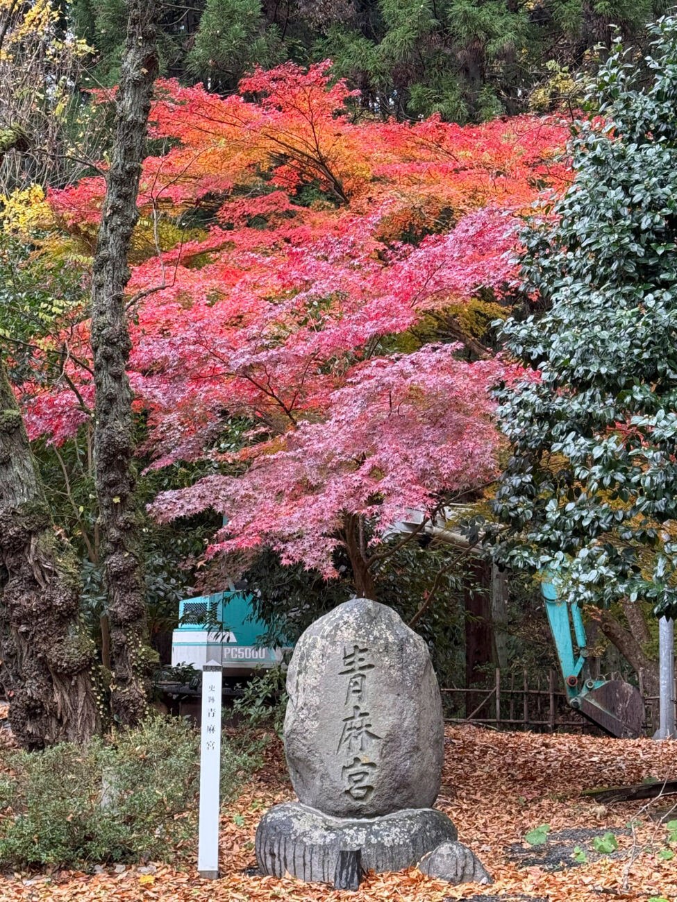 青麻神社の紅葉 青麻神社の紅葉