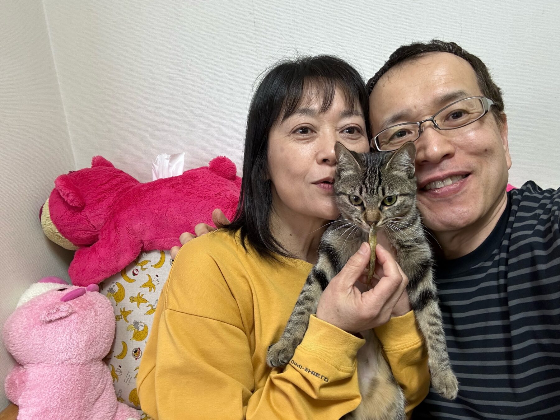 新年度が始まりました